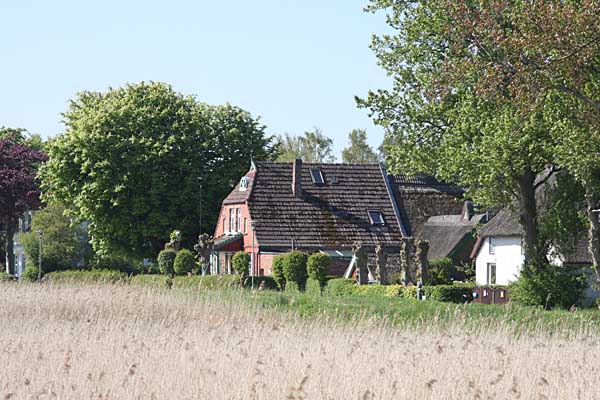 Idylle am Bodden in Ahrenshoop