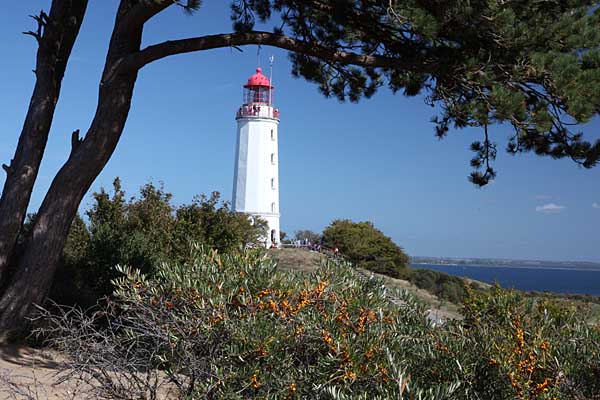 Hiddensee - Leuchtturm Dornbusch