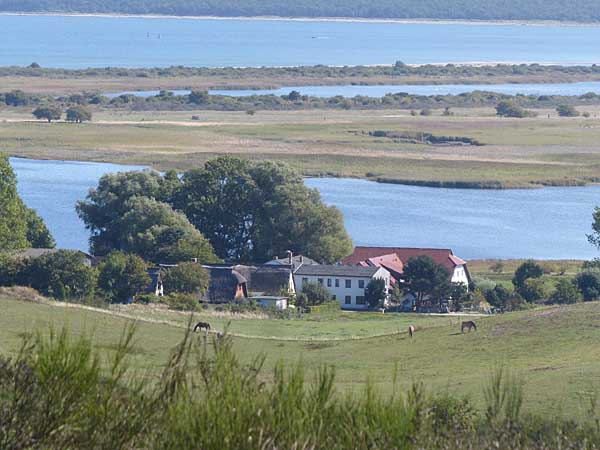 Hiddensee - Grieben und Bessin