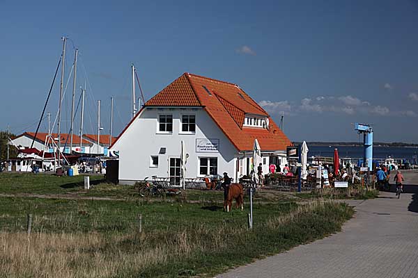 Hiddensee - Hafen Neuendorf