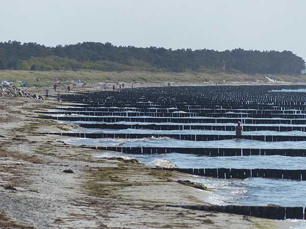 Hiddensee - Strand bei Neuendorf