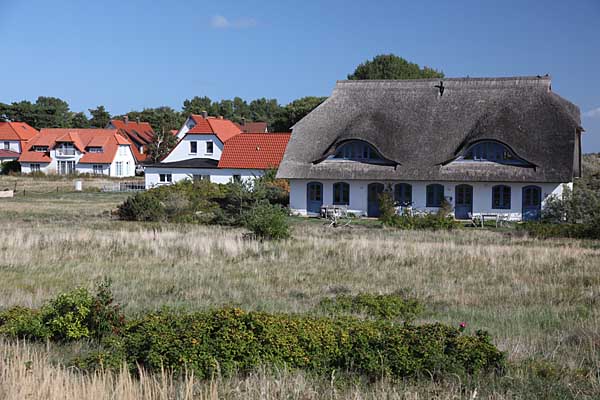 Hiddensee - Ferienhäuser in Vitte