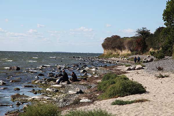 Steilküste Klein Zicker