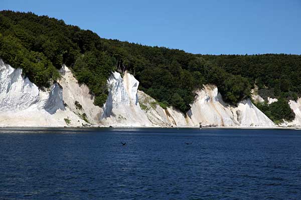 Blick zur Kreideküste Nationalpark Jasmund