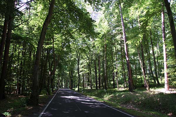 Landschaft bei Korswandt