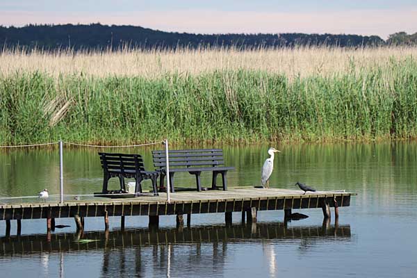 Neeberg - Bootsteg