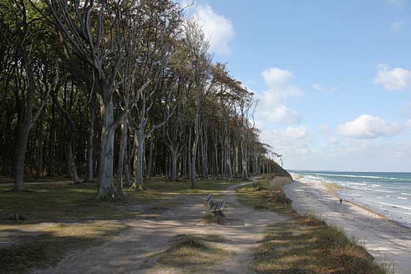 Steilküste am Gespensterwald bei Nienhagen