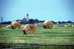 Landschaft bei Kap Arkona