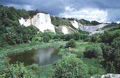 Kreidefelsen auf der Halbinsel Jasmund bei Saßnitz