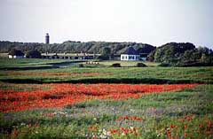 Landschaft bei Kap Arkona