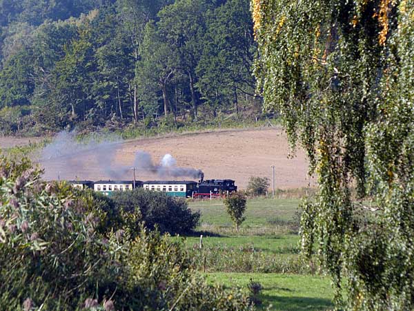 99 4011 bei Serams