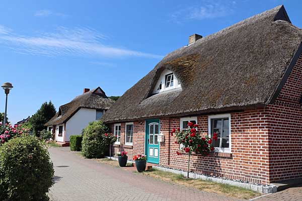 Reetgedecktes Haus in Moritzdorf