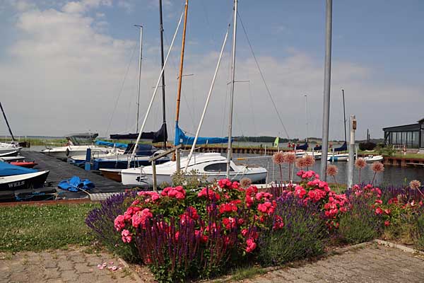 Hafen Ückeritz