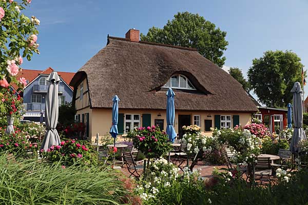 Zingst - Café Rosengarten