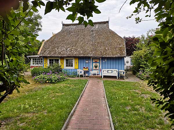 Reetgedecktes Haus in Zingst